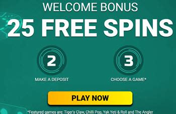 stakes casino 25 free spins seqm belgium