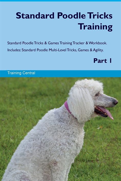 Standard Poodle Training Tricks