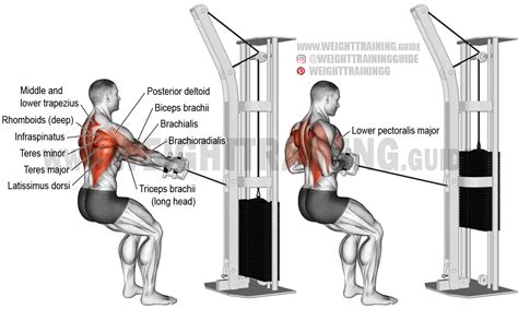 Standing Cable Rows