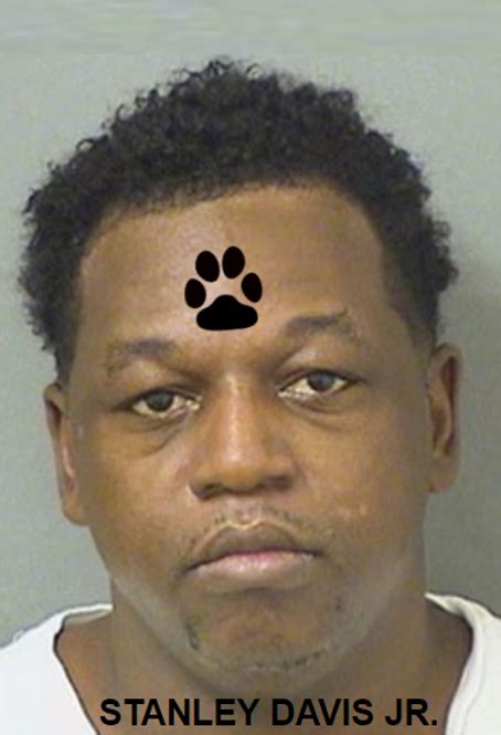 Stanley Davis Jr