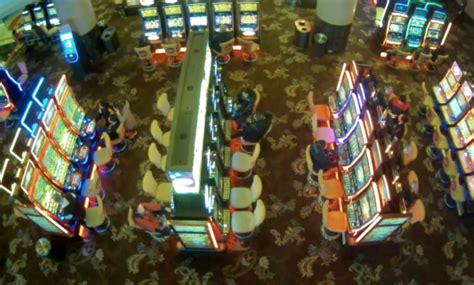 star casino fined 5000 vxxr canada