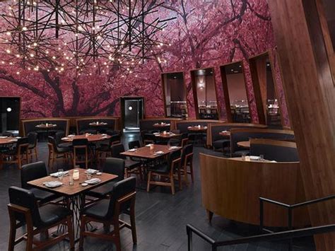 star casino japanese restaurant isld