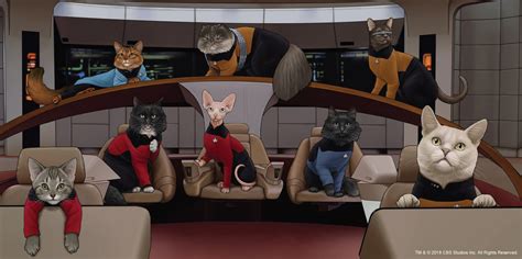 star trek cats next generation