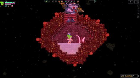 starbound porn