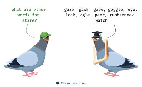 Stare Synonym