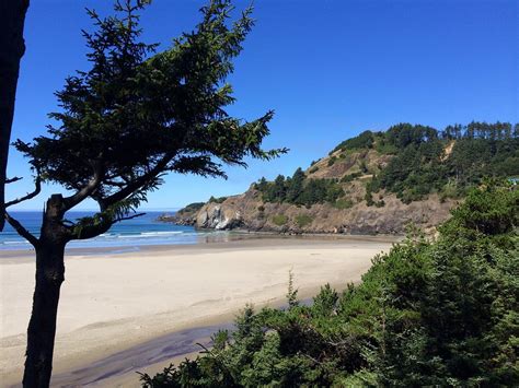 starfish point oregon