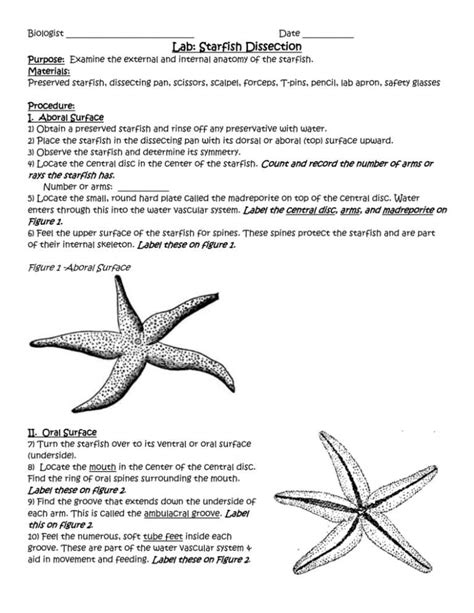 Download Starfish Dissection Data Sheet Answers Key 