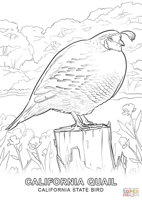 State Bird Coloring Pages Free Printable Flanders Family Florida State Bird Coloring Page - Florida State Bird Coloring Page