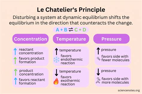 State Le Chatelier's Principle Class 11
