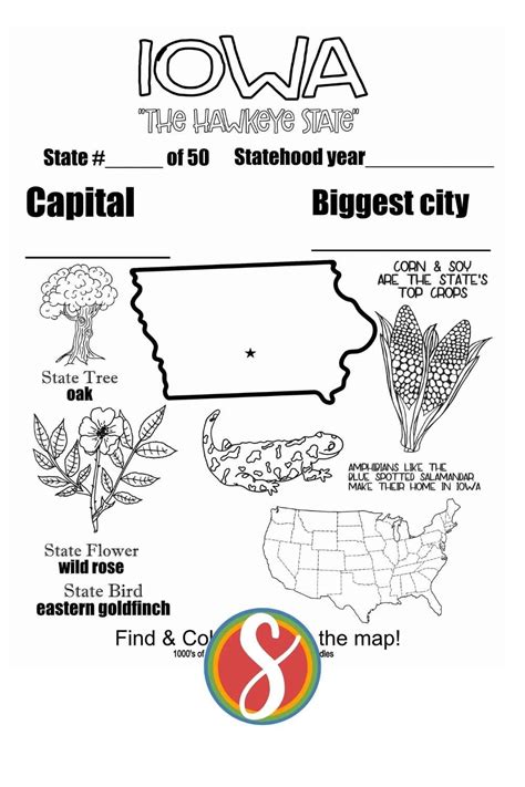 State Of Iowa Free Coloring Page Crayola Com Iowa Flag Coloring Page - Iowa Flag Coloring Page