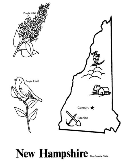 State Of New Hampshire Free Coloring Page Crayola New Hampshire Coloring Page - New Hampshire Coloring Page