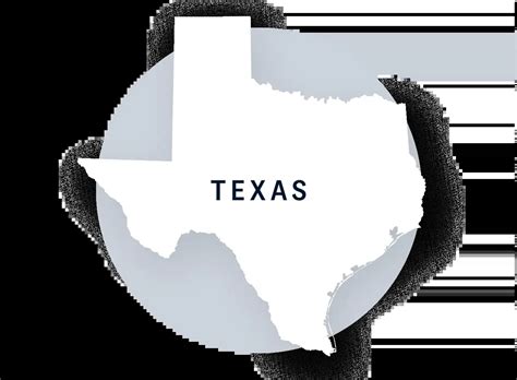 state of texas background check