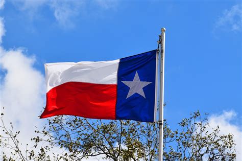 state texas flag