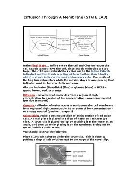 Full Download State Lab Diffusion Through A Membrane Answers 