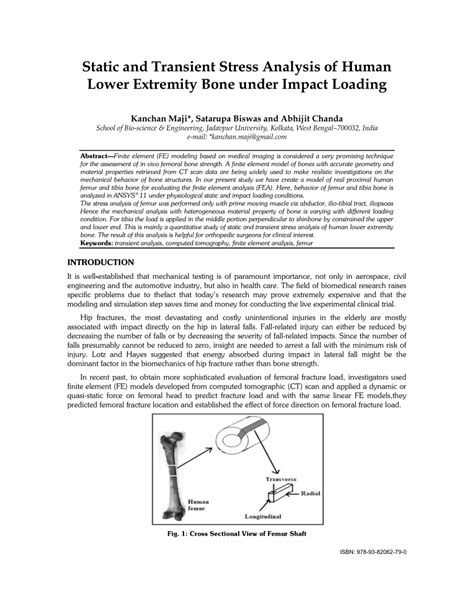 Static And Transient Stress Analysis Of Human Lower