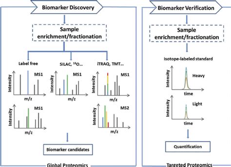 Download Statistical Methods For Biomarker Discovery In Proteomics 