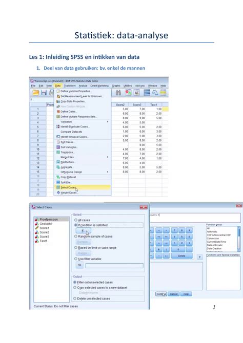 statistiek SPSS