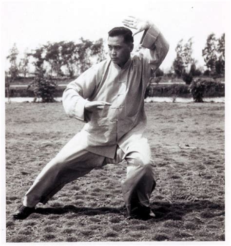 Read Steal My Art Memoirs Of A 100 Year Old Tai Chi Master T Tang 