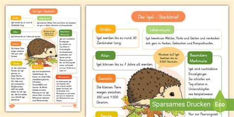 Steckbrief über Den Igel