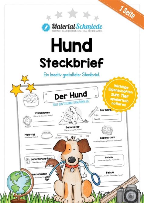 Steckbrief über Hund
