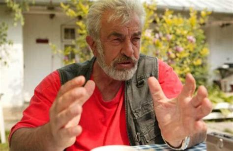 stefan sileanu actor biography william