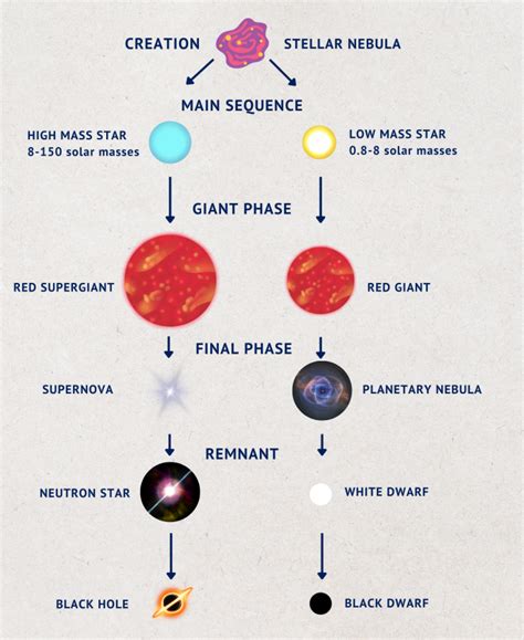 Full Download Stellar Evolution Study Guide Answers 