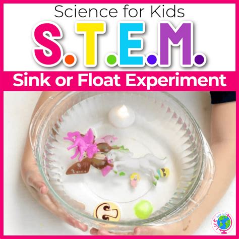 Stem Experiment Scientific Method Float Or Sink Activity Sink Or Float Science Experiment - Sink Or Float Science Experiment