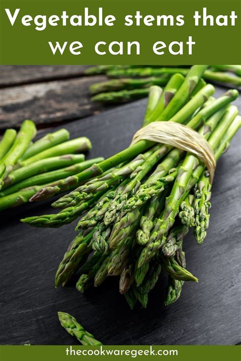 Stems We Eat