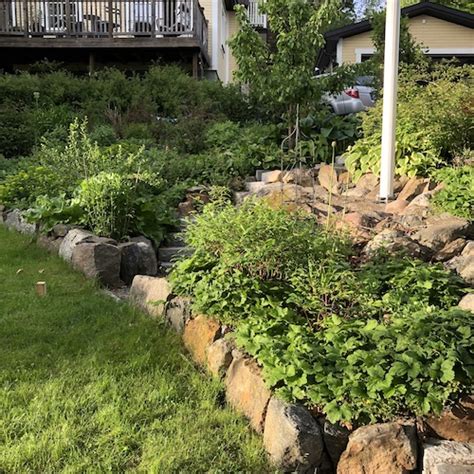 stenar som rabattkant