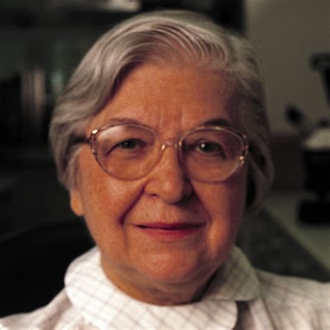 stephanie kwolek kevlar biography of michael