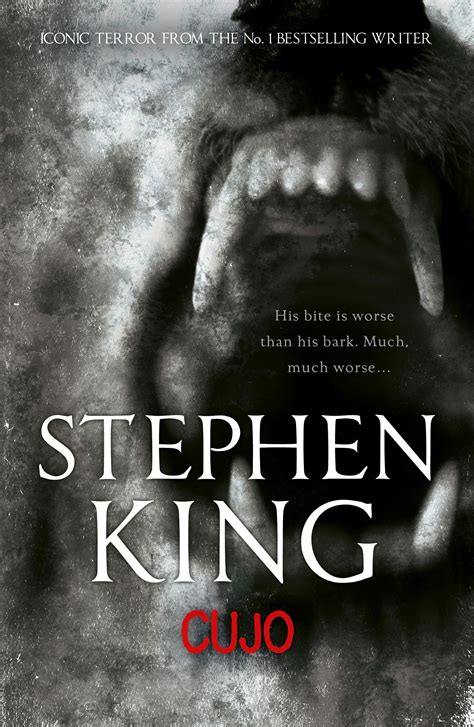 Stephen King Cujo Summary