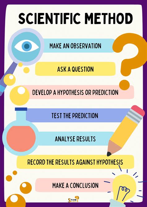 steps of scientific method quizlet