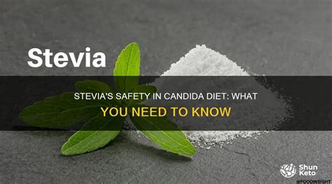 Stevia Candida