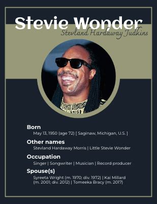 stevie wonder biography summary examples