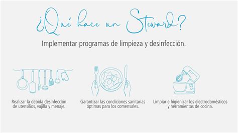 Steward Que Es
