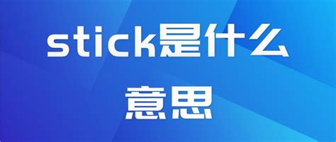 stick holder中文_stick holder是什么意思 - 爱查查