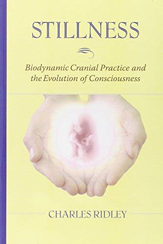 Download Stillness Biodynamic Cranial Practice And The Evolution Of Consciousness 