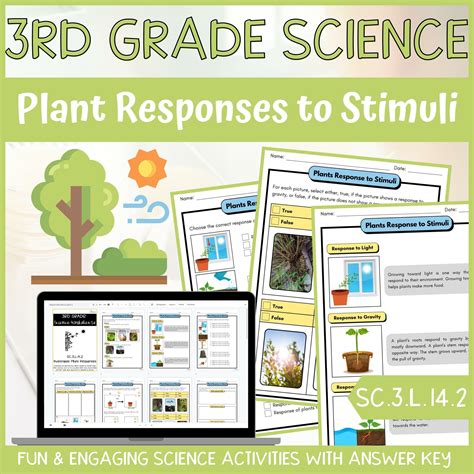 Stimuli And Plant Responses Worksheets K12 Workbook Plant Responses Worksheet - Plant Responses Worksheet
