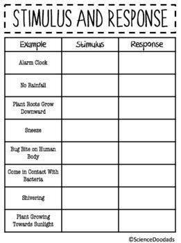 Stimulus Amp Response Lesson Plan Teaching Resources Stimulus Response Worksheet Middle School - Stimulus Response Worksheet Middle School