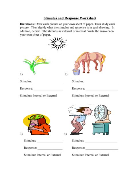 Stimulus And Response Worksheets Learny Kids Stimulus And Response Worksheet - Stimulus And Response Worksheet