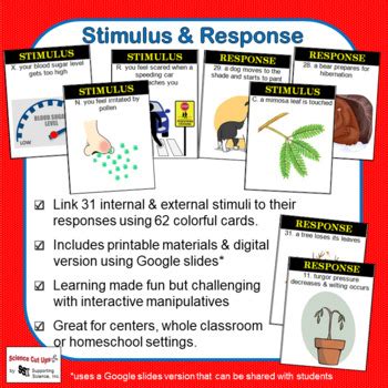 Stimulus Response Activity Teaching Resources Tpt Stimulus Response Worksheet Middle School - Stimulus Response Worksheet Middle School