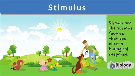 Stimulus Science   Science Stimulus Science And Wonder - Stimulus Science