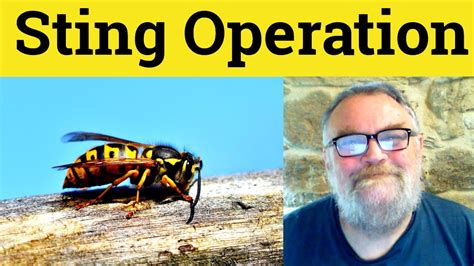 Sting Operation Definition