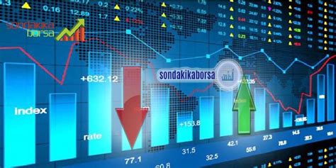 stock company Nedir