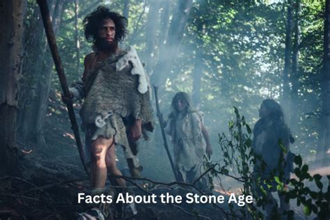 Stone Age Facts