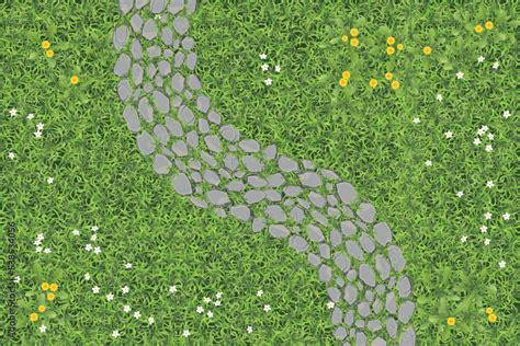 Stone Path Grass Drawing Fantasy