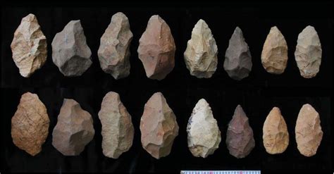 Stone Tools In Human Evolution: Behavioral Differences Among Technological Primates