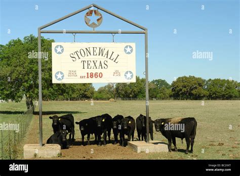 stonewall texas