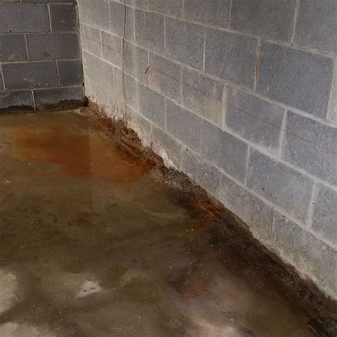 stop basement