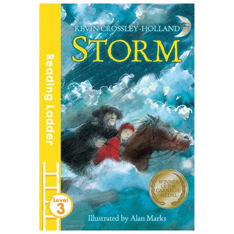 Storm ( Reading Ladder Level 3)